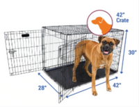 Petmate - 2-Door Training Retreats Wire Kennel 48