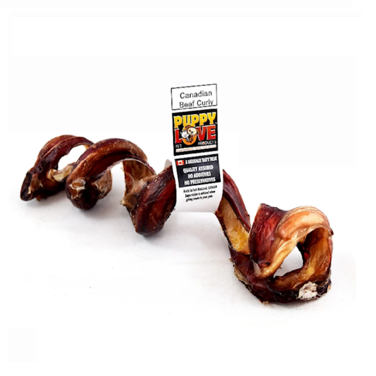 Puppy Love - Beef Curly