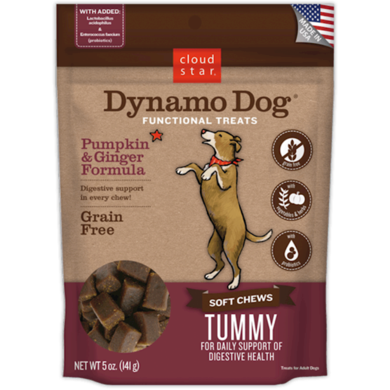 Dynamo Dog - Dog Tummy Pumpkin & Ginger