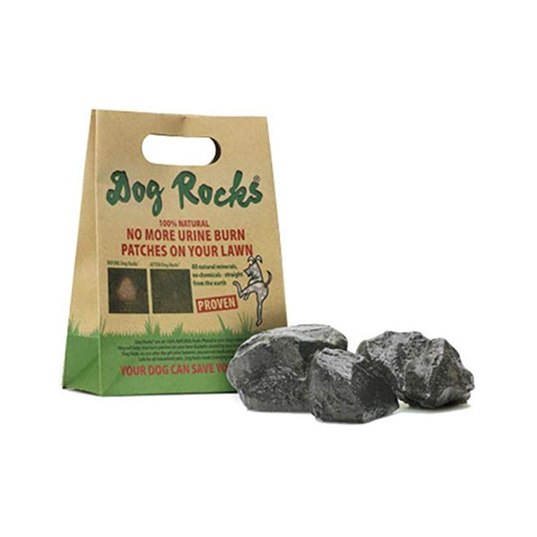Dog Rocks - Dog - Water Filtrater