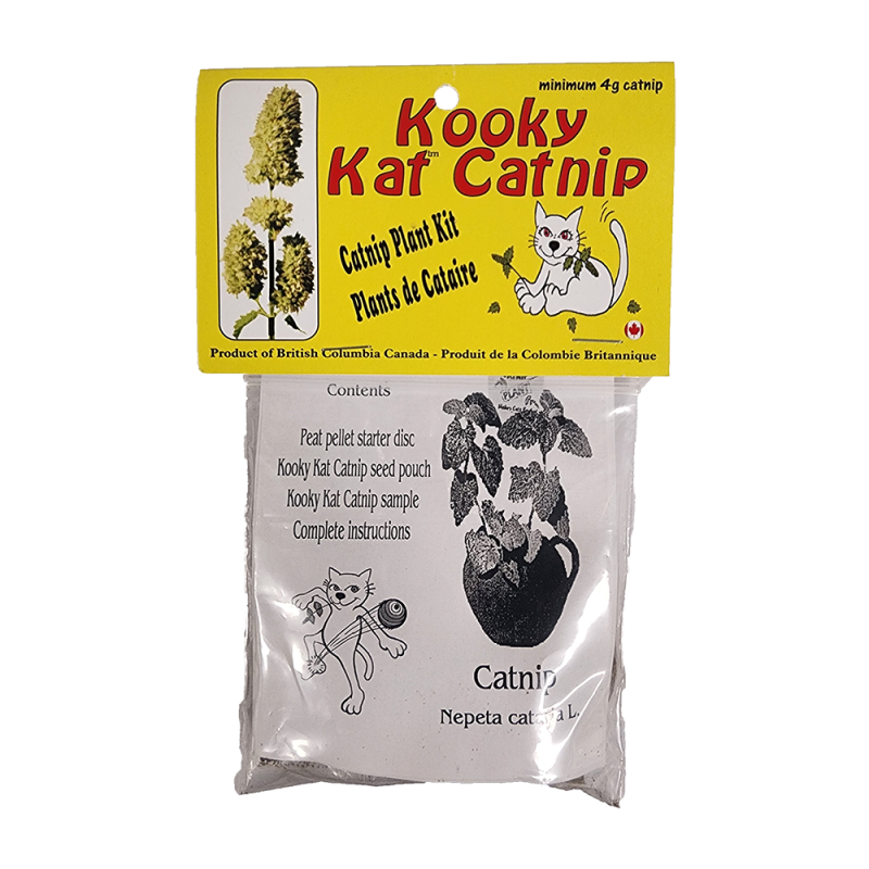 Kooky Kat - Grow Yer Own Catnip Plant Kit