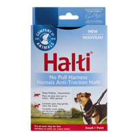 Company of Animals - HALTI Harness