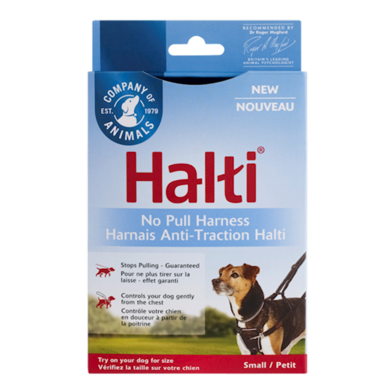 Company of Animals - HALTI Harness