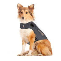 ThunderWorks - Dog - Thundershirt Sport Platinum