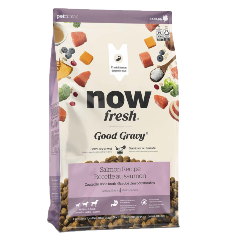 Now Fresh - Dog - Good Gravy Adult Salmon Recipe with Ancient Grains