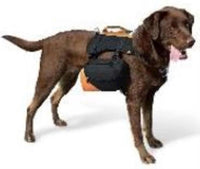 Kurgo - Big Baxter Pack BLK/ORG