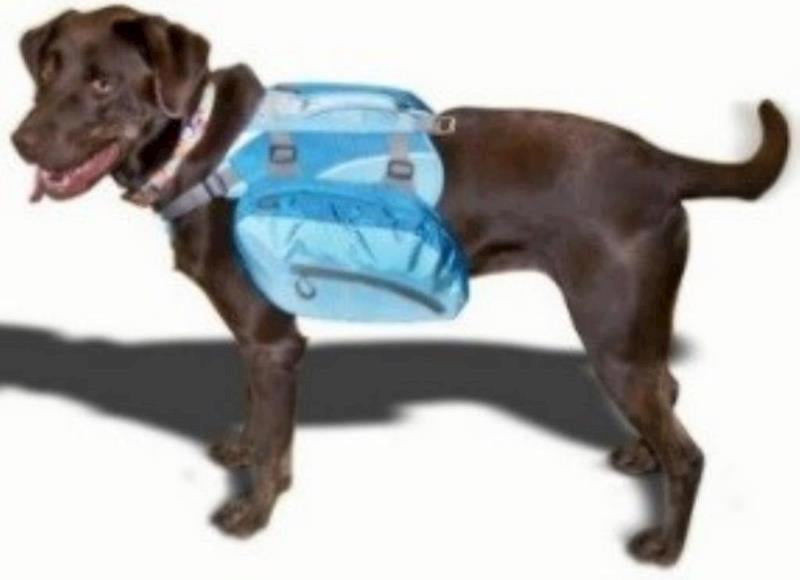 Kurgo - Big Baxter Pack () Coastal Blue