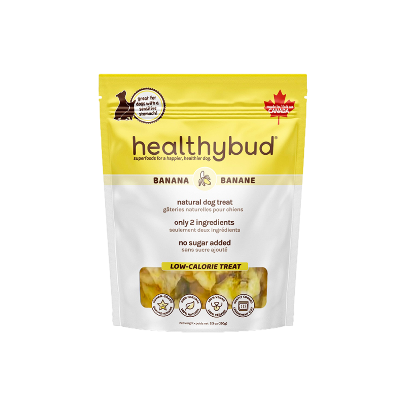 Healthybud - Banana Crisps