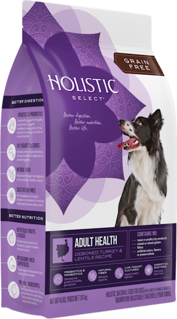 WellPet - Holistic Select - Dog Turkey & Lentils
