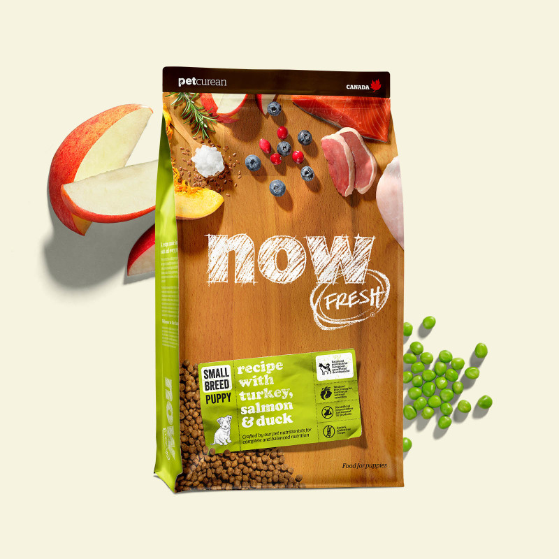 Now Fresh - Dog - Grain Free Small Breed Puppy Turkey, Salmon & Duck Recipe