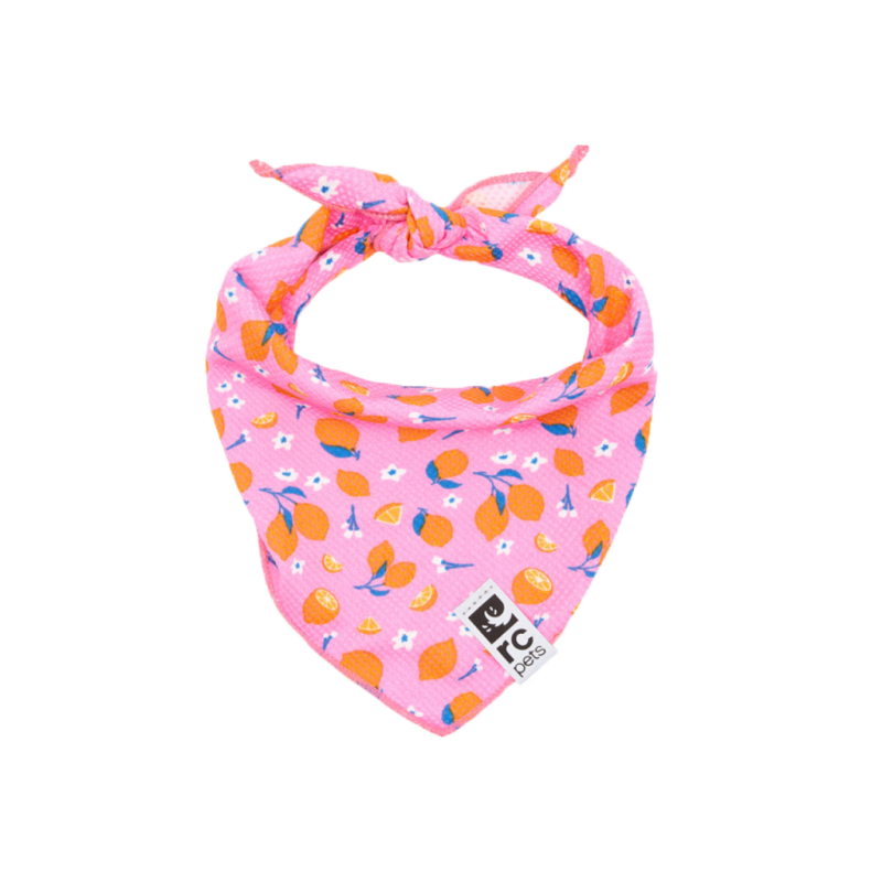 RC Pets - Zephyr Cooling Bandana Zesty