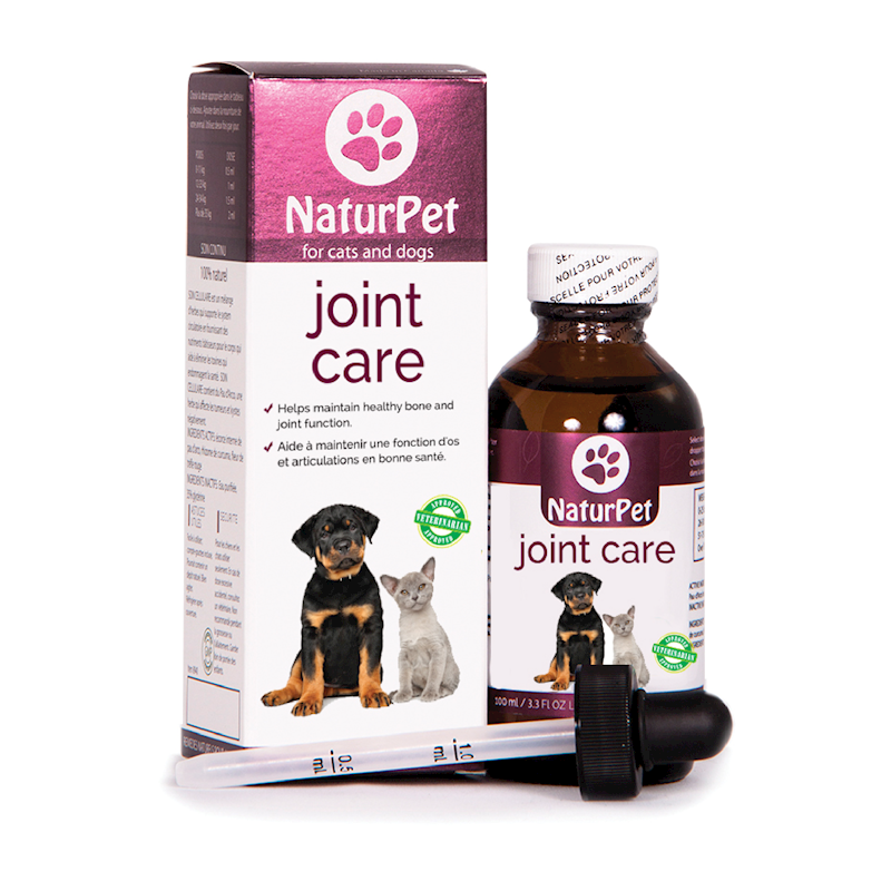 Joint Care (Arthritis Relief) 100ml