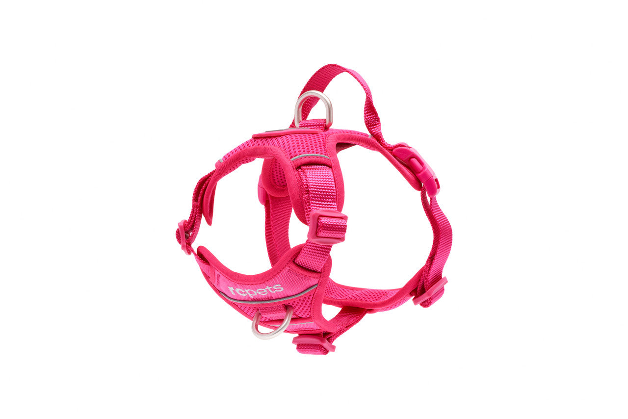 RC Pets - Dog - Momentum Harness Azalea