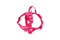 RC Pets - Dog - Momentum Harness Azalea