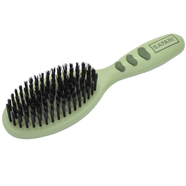 Safari - Dog - Bristle Brush