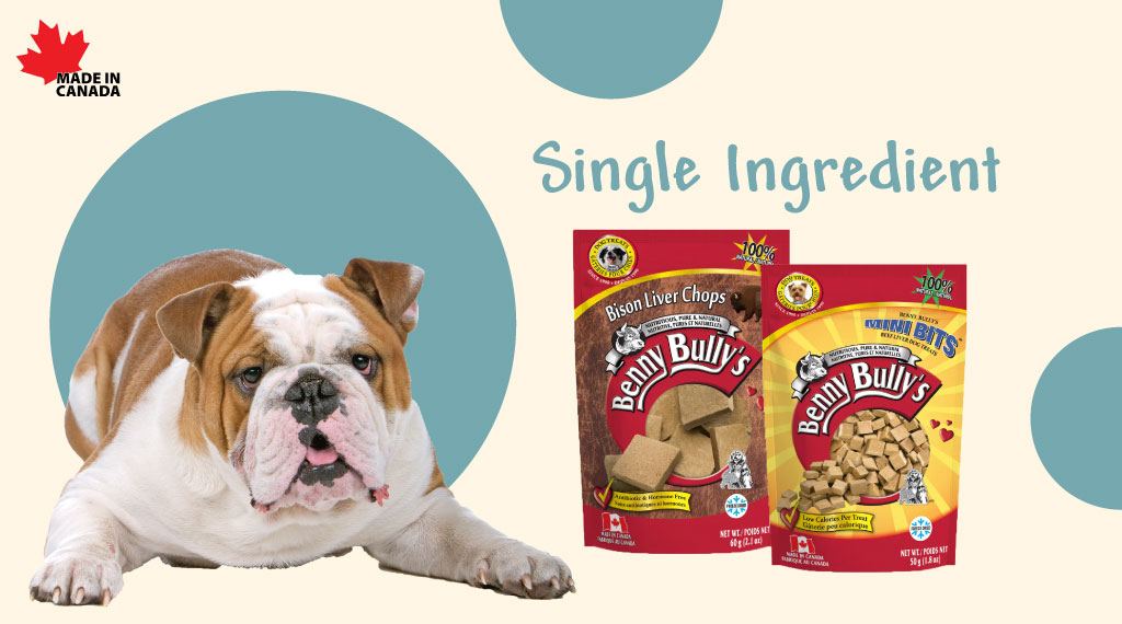 Slider-SPP_Brands-BennyBullys