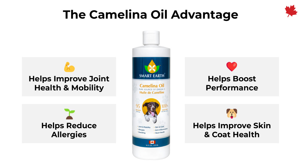 Smart Earth Camelina Oil