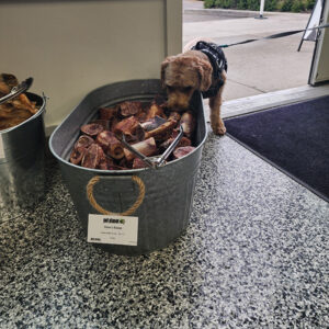 In-store photo of Titan the dog at Pet Planet Royal Oak - a Canadian location.