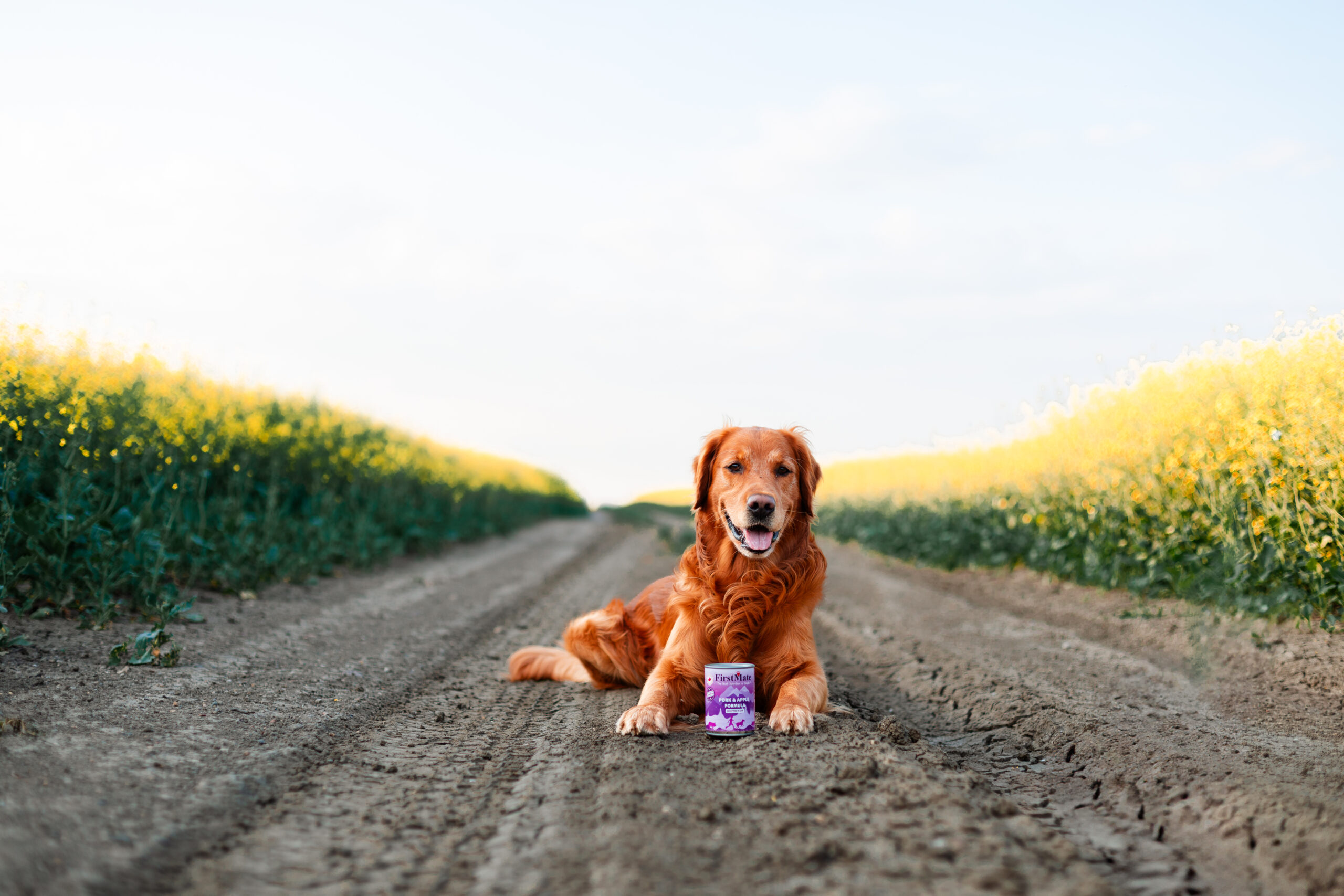 FirstMate - Pet Planet