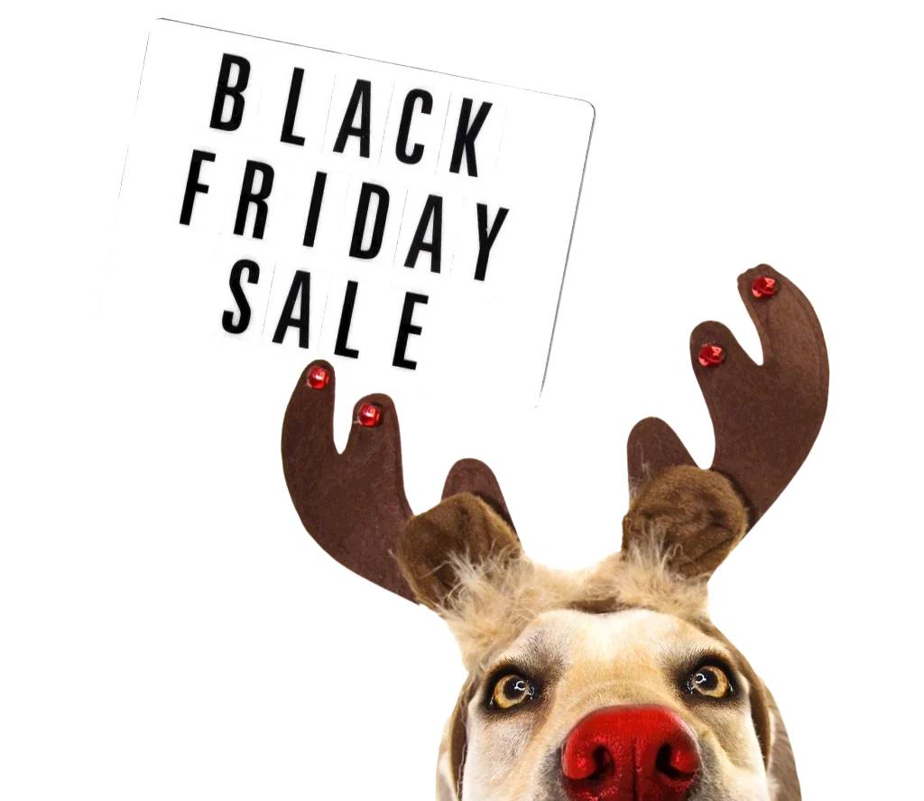 2025 Black Friday Web Image