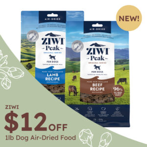 MarchPromo-Home_ZIWI1