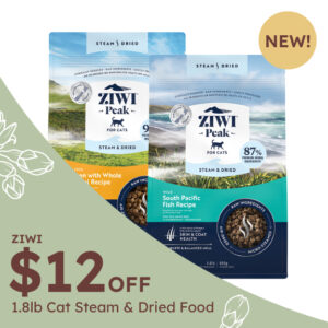 MarchPromo-Home_ZIWI2