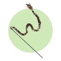 KONG-Swizzle-Bird-Wand-01